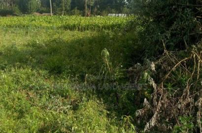 Plots On At Hato Kiambu Kinari