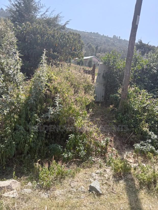 3 Acres of Land on Sale