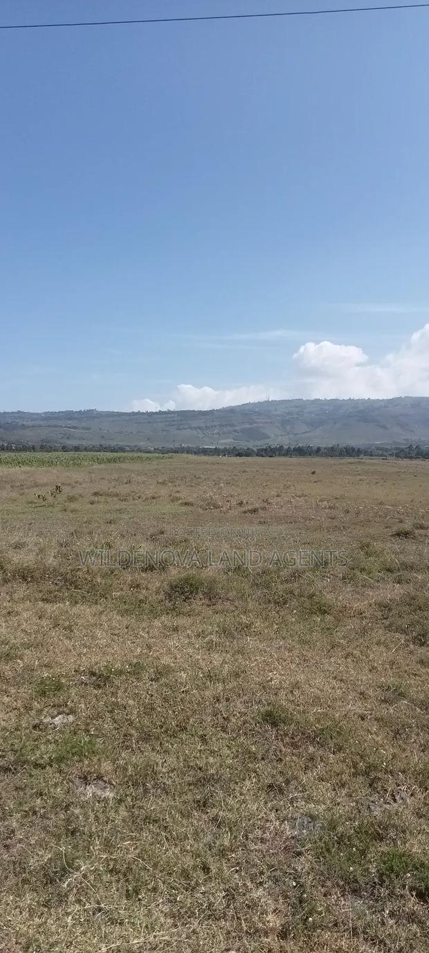 Land on Sale at Longonot Naivasha