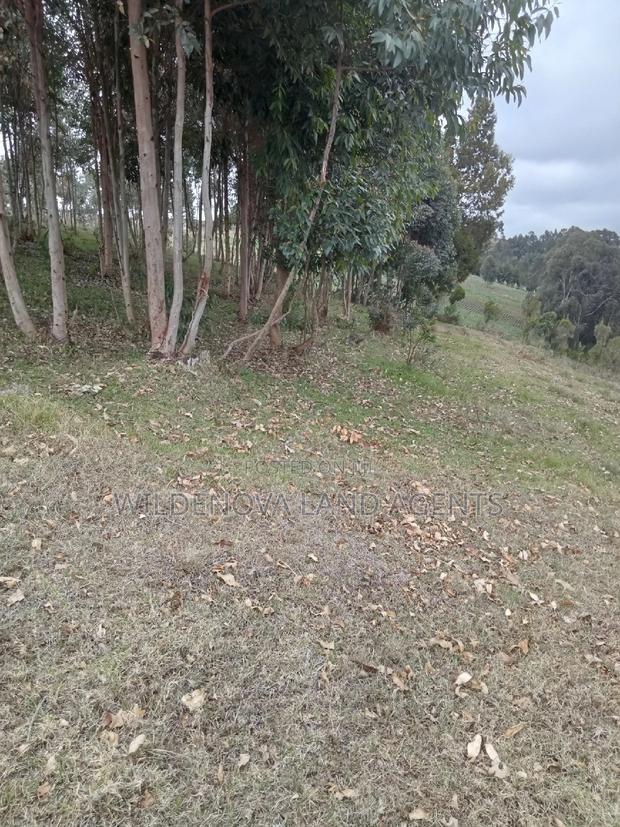 2 Acres of Land Sale at Kenyatta Road