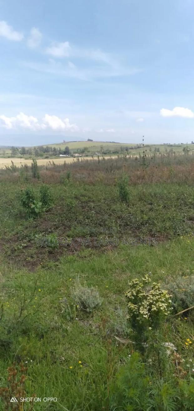 5 Acres on Sale at Kiabogo Longonot Naivasha