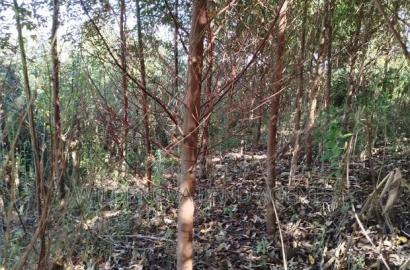 Land on Sale at Flyover Viewpoint Naivasha