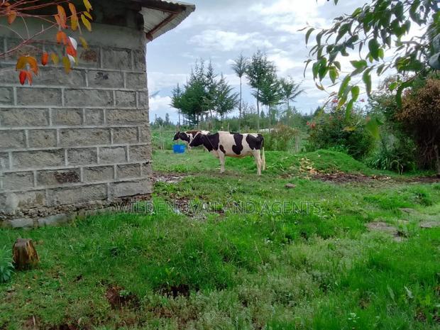 1/4 Acre With House Structure on Sale at Kinangop Eginear