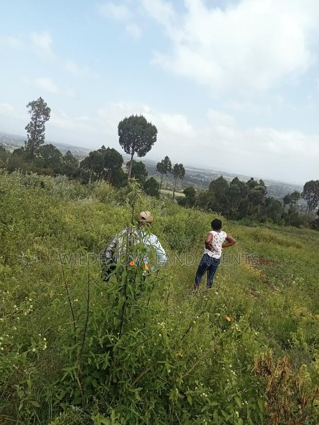 Land on Sale at Nyakairu Naivasha