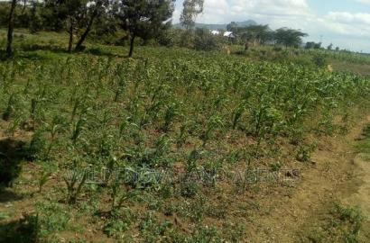 1 Acre on Sale at Kiambogo Longonot Naivasha
