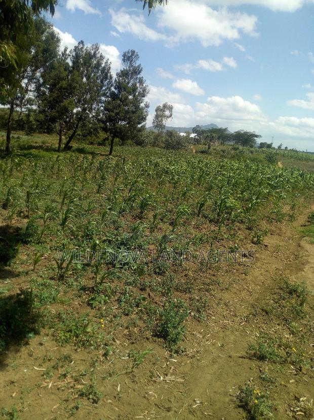 1 Acre on Sale at Kiambogo Longonot Naivasha