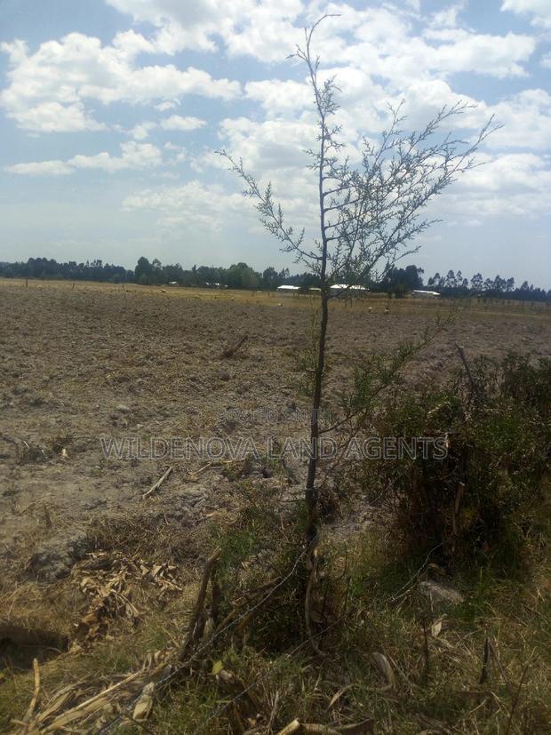 Land With House on Sale at Murungaru