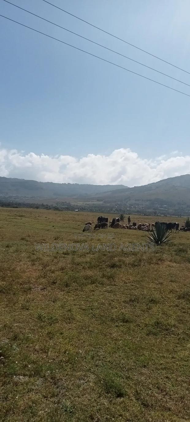 Land on Sale at Longonot Naivasha