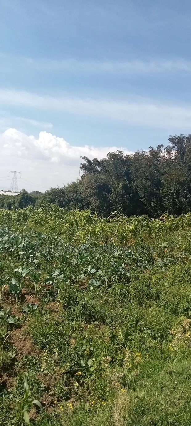 Land on Sale at Kinungi Naivasha