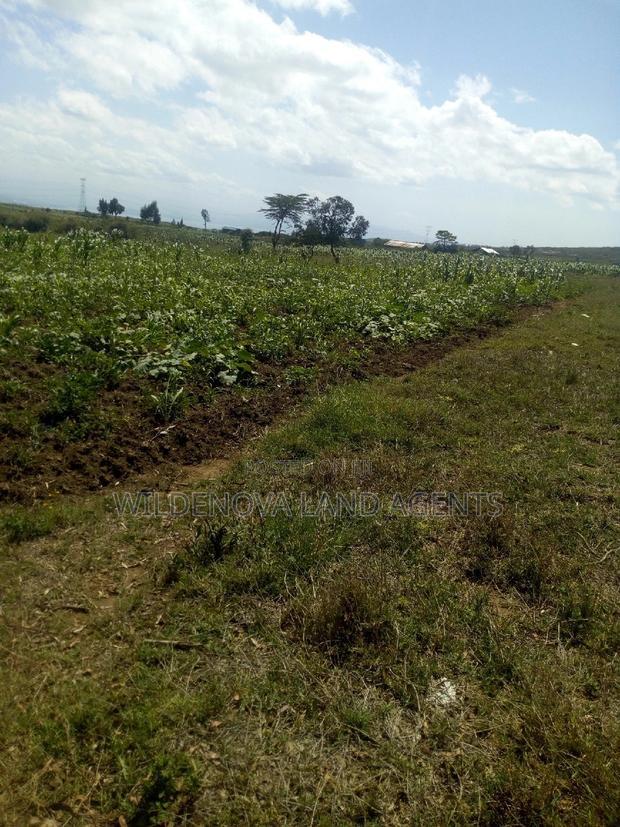1 Acre on Sale at Kiambogo Longonot Naivasha