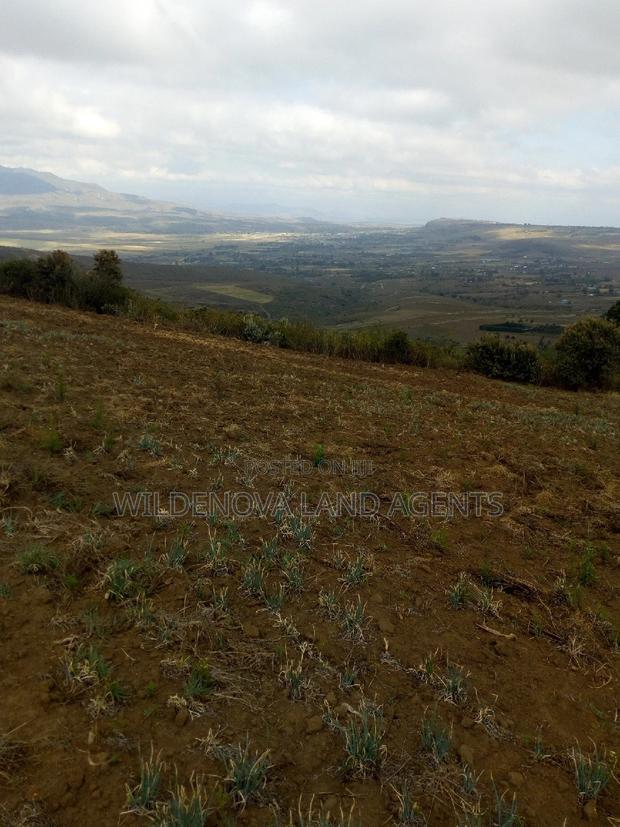 1/2 Acre on Sale at Kenton Naivasha