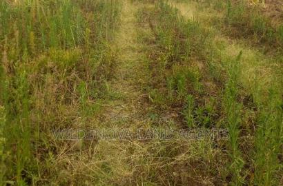 50*100 Plot on Sale at Karati Naivasha