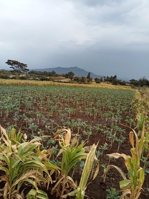 1/2 Acre Land on Sale at Ihindu Naivasha