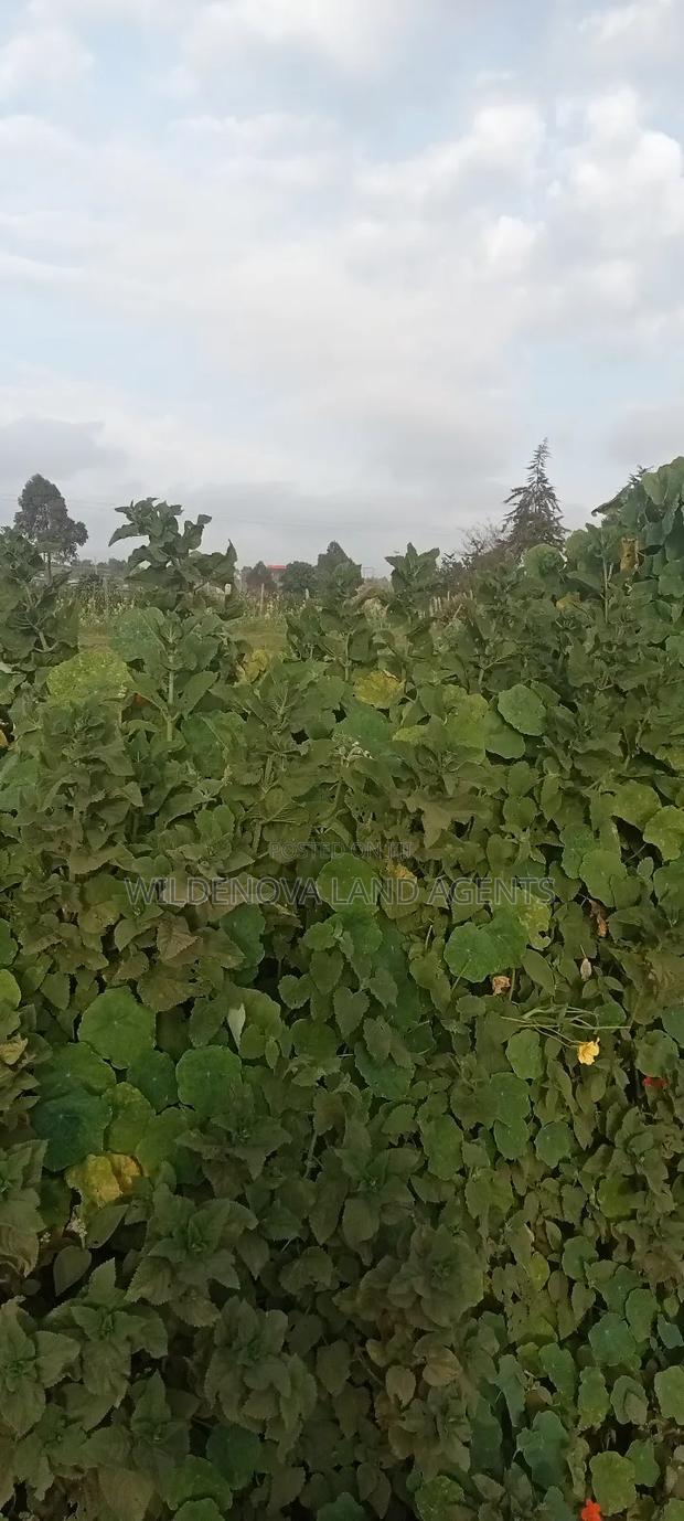 Land on Sale at Flyover Kinangop