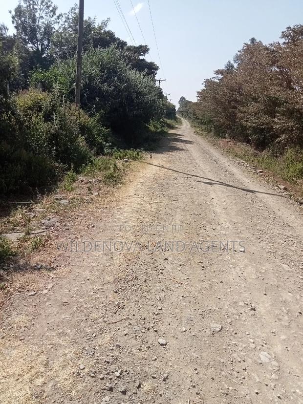 3 Acres of Land on Sale