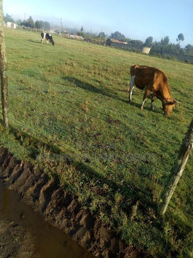 Plote on Sale at Mtonyora Kinangop