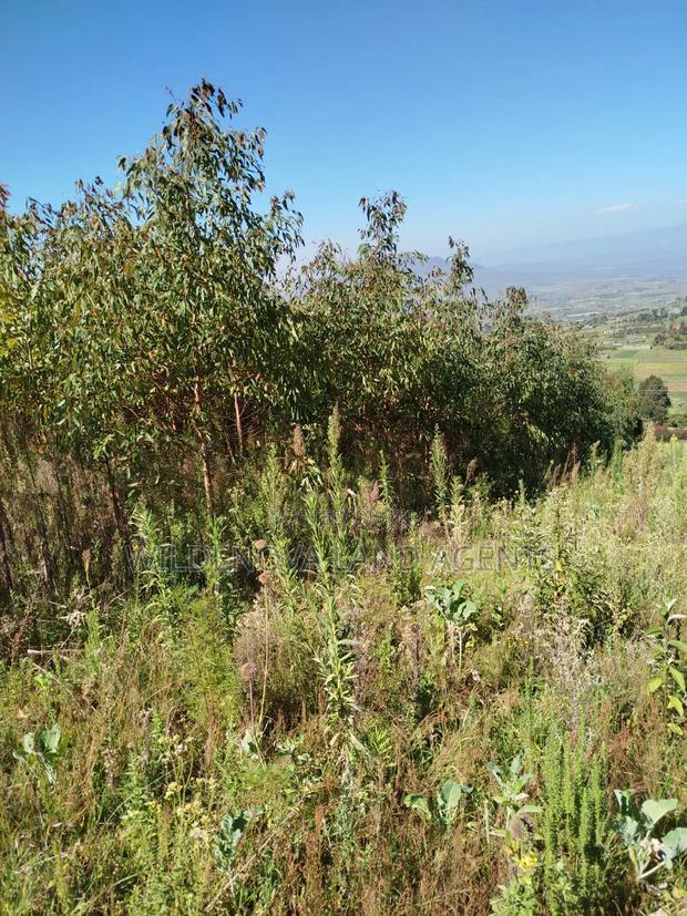 Land on Sale at Flyover Viewpoint Naivasha