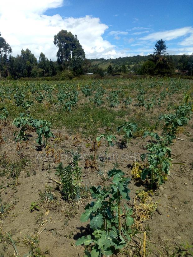 2 Acre on Sale at Naivasha Nyakairu