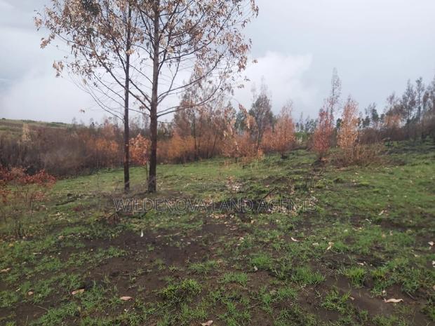 Land on Sale at Turasha Ririshua Kinangop