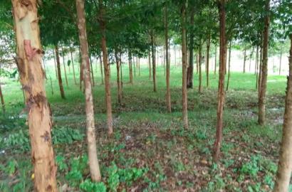 1/4 Acre With House Structure on Sale at Kinangop Eginear