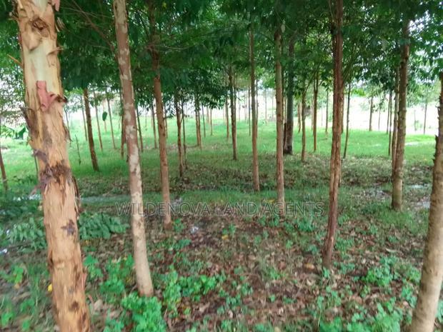 1/4 Acre With House Structure on Sale at Kinangop Eginear