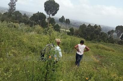 Land on Sale at Nyakairu Naivasha