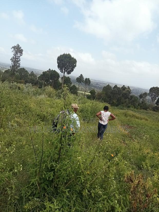 Land on Sale at Nyakairu Naivasha