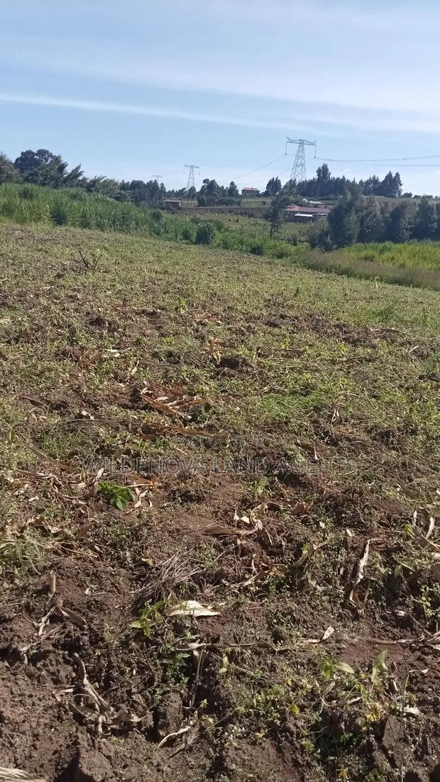 Land on Sale at Kinungi Naivasha