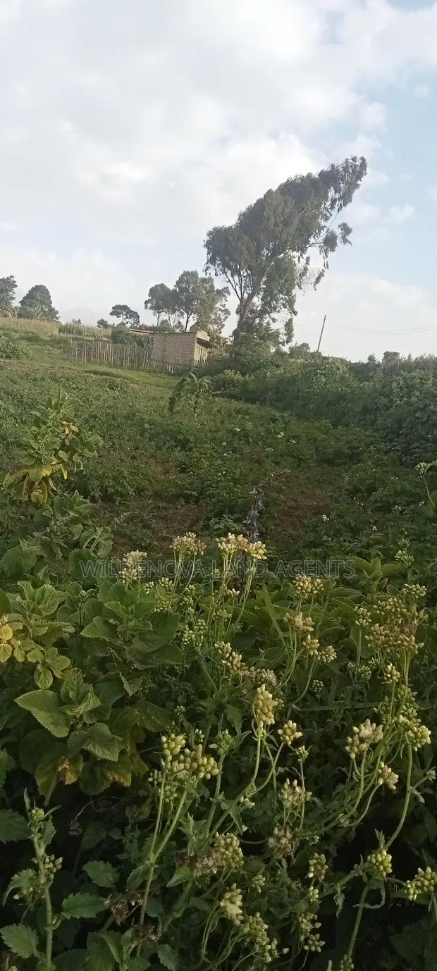 Land on Sale at Flyover Kinangop