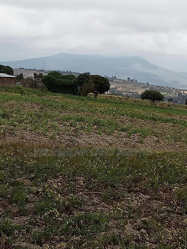 2 Acre of Land on Sale at Kenyatta Road Kinangop