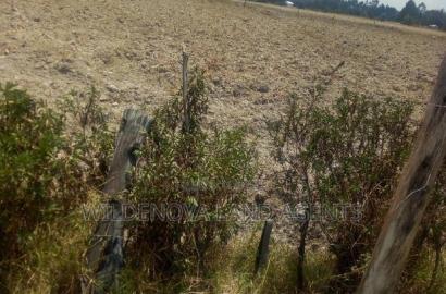 Land With House on Sale at Murungaru