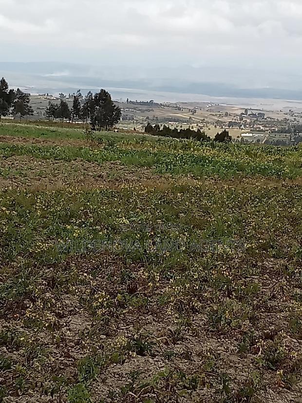 2 Acre of Land on Sale at Kenyatta Road Kinangop