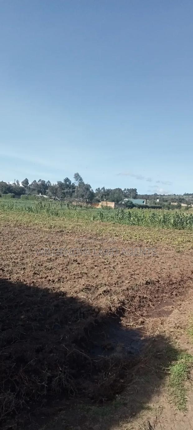 Land on Ihindu Naiva