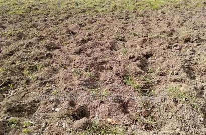 Land On Sale At Munyaka Kinangop