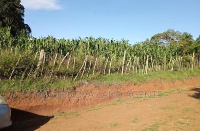 Land on Sale at Jabini. Kinangop
