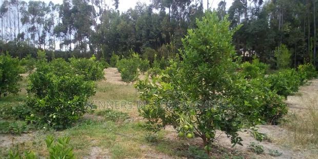 Land for Sale in Narumoro