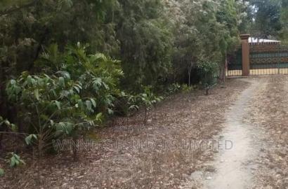 Land for Sale in Narumoro