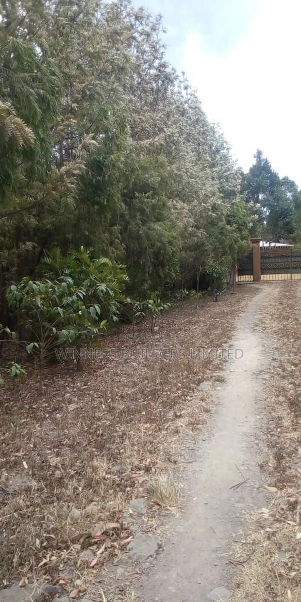 Land for Sale in Narumoro