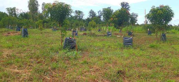 2 Acres for Sale at Makuyu