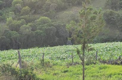 Land for Sale in Nyeri County