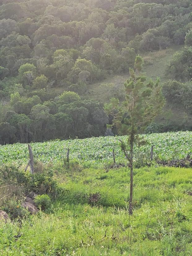 Land for Sale in Nyeri County