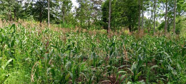 10acres for Sale in Laikipia County