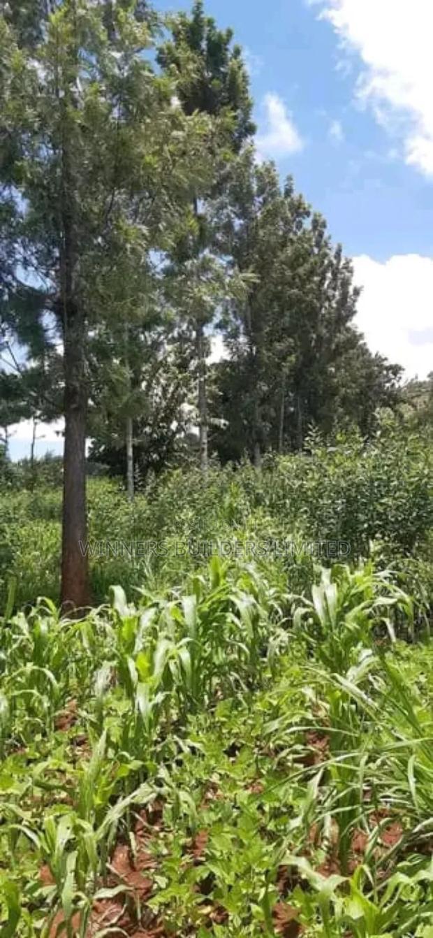 Land for Sale in Nyeri County