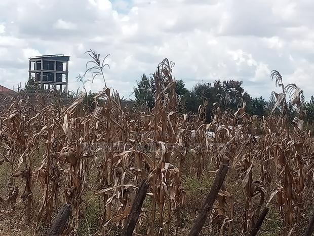 2 Plots for Sale