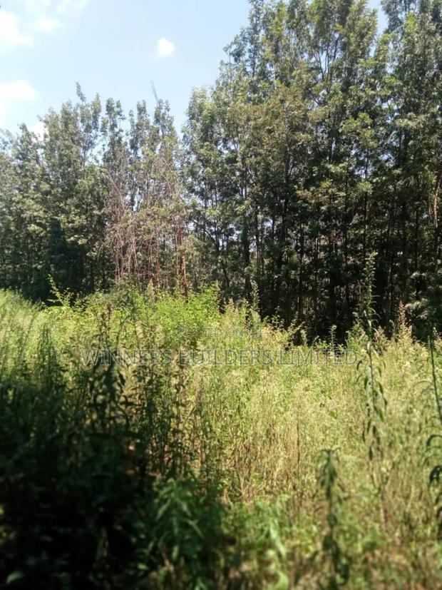 1/2 Acre for Sale
