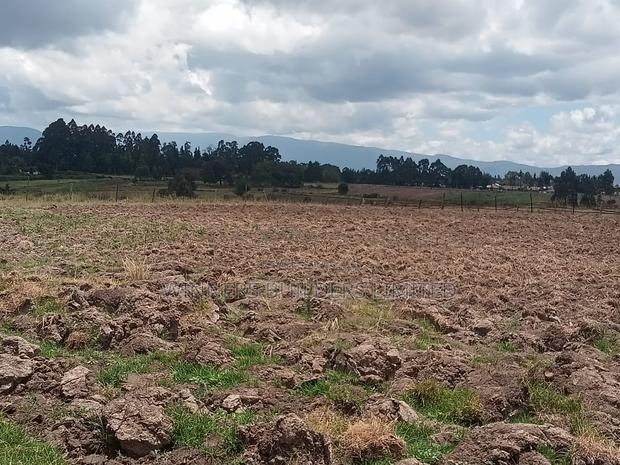 1/2 Acre for Sale at Nyandarua County