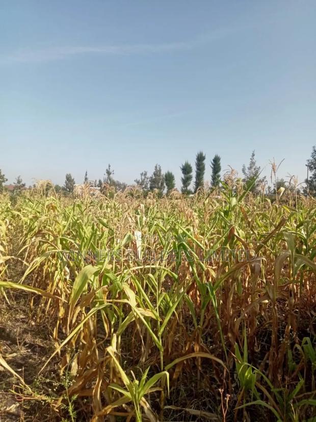 Selling 100*100 Plot at Kangundo Road Block 10