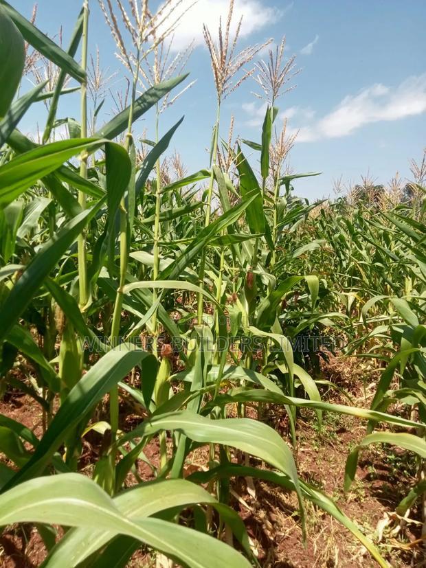 Land for Sale at Makuyu