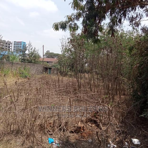 115 by 100 Corner Plot for Sale at Githurai 45