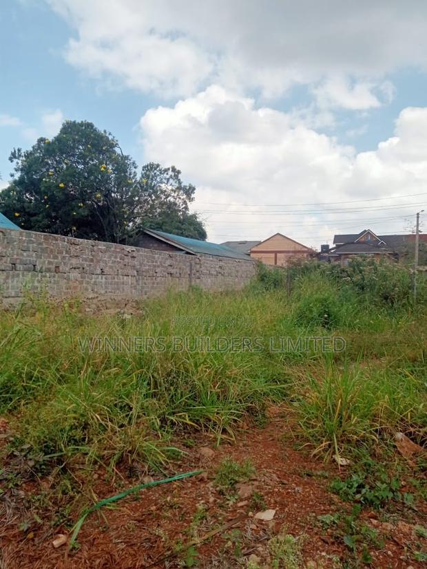 40 by 80 Plot at Lumumba Drive Roysambu